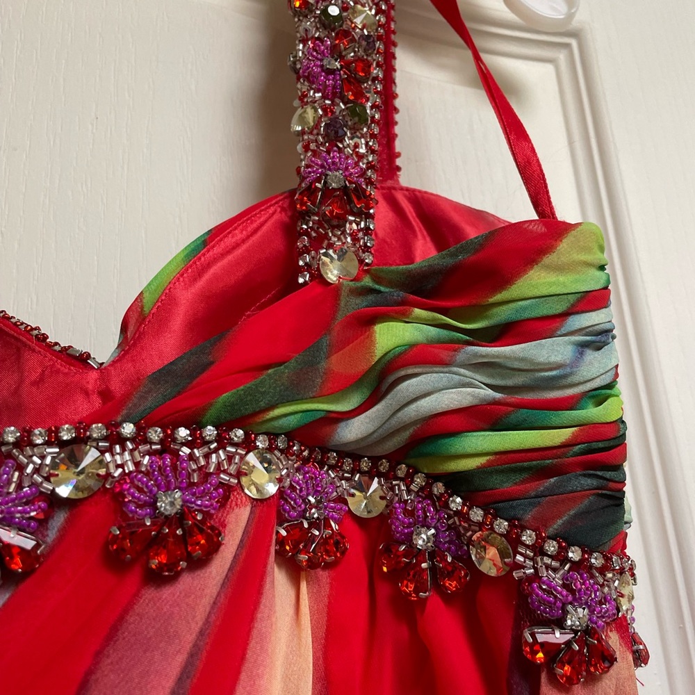 Multi Colored Gown - image 6